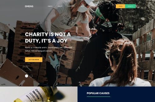 Charity & Non-profit